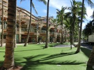 ﾜｲｷｷ・ﾋﾞｰﾁ・ｳｫｰｸ