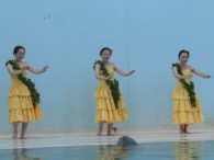 加古川ｶﾙﾁｬｰ3名で！（イルカちゃん応援！）