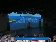 ﾊﾜｲｱﾝﾅｲﾄ始まりました～