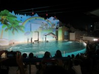 ﾌﾟﾛｼﾞｪｸｼｮﾝﾏｯﾋﾟﾝｸﾞ綺麗！！まるでハワイにいるみたい