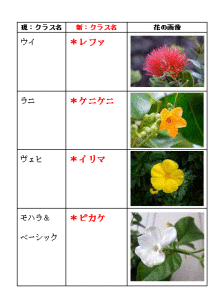 7月より名前変更