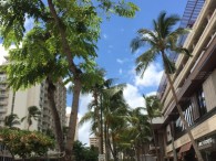 4日目：ｸﾑのﾚｯｽﾝ始まりました★