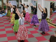 徐々に揃ってきました～