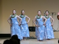 ♪～ﾜｲｶﾌﾘ