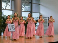 ♪～ﾜｲｶﾌﾘ