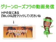 5/24日　動画発信