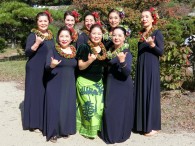 ｽﾀｼﾞｵ･ﾏｲﾚ