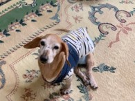 お空で楽しく過ごせますよーに