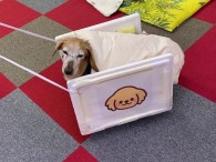 ｽﾀｼﾞｵでは『エンちゃん号』に乗って(*^-^*)