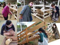 『干し草ど～ぞ！！』　　のじま動物園にて