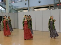 ♪～ヘヴィヒ　アロハ