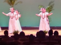 ♪～ﾜｲﾋﾟｵ  ﾊﾟｰｴｱｴｱ