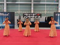 ♪～ｱﾛﾊ ｱｸ ｱﾛﾊ ﾏｲ