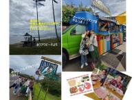 半日観光もそろそろ終わりです