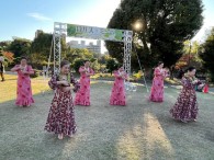 ♪～ｸ ﾌﾟｱ ｱﾛﾊ