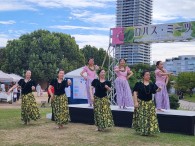 ♪～ﾏﾋﾅ･ｵ･ﾎｸ