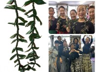 ねじりが難しかったねぇ