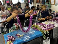 11/15　90個のﾃﾞﾝﾌｧﾚを繋ぎました