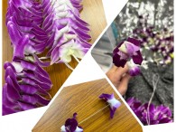 素敵なお花でした(*^-^*)